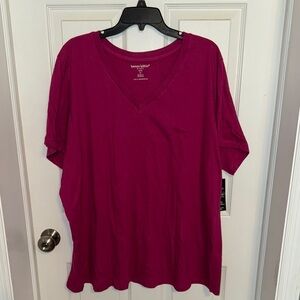 NWT Woman Within V-Neck Tee